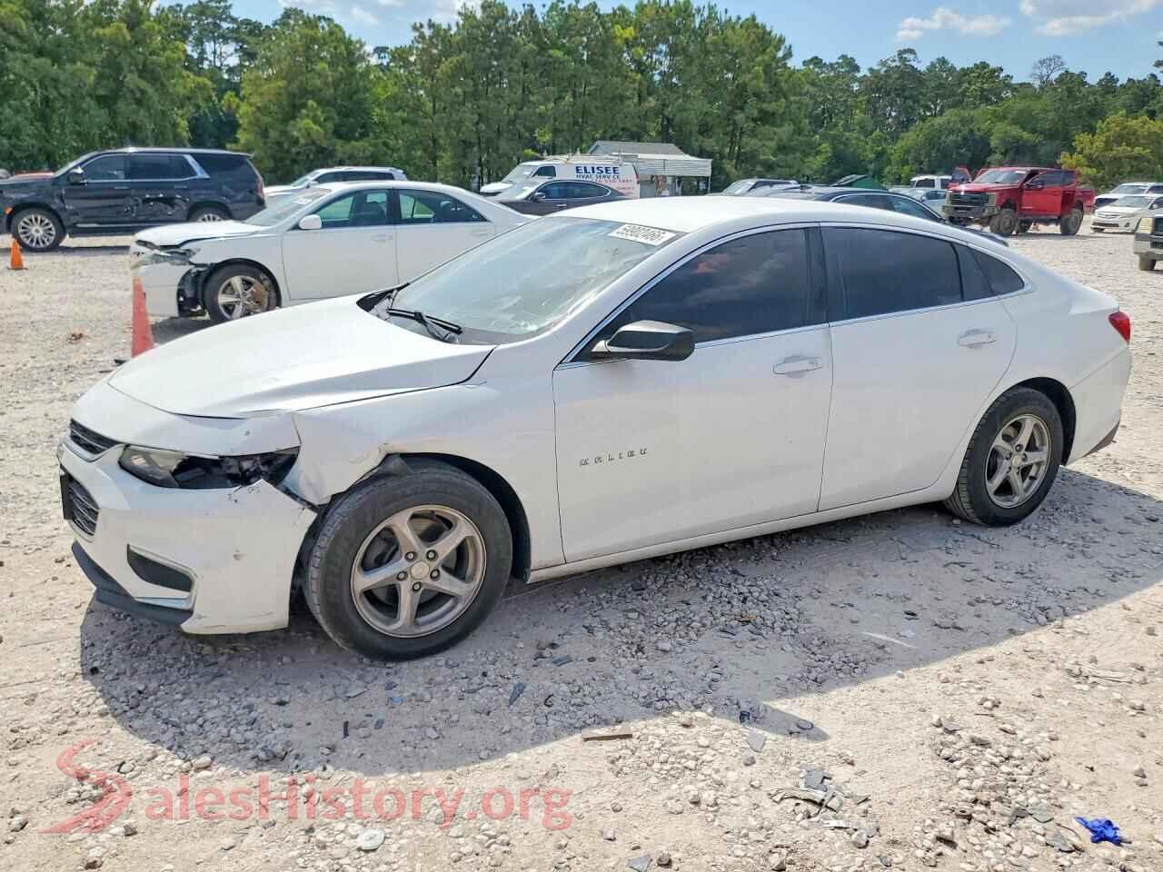 Main Car Image