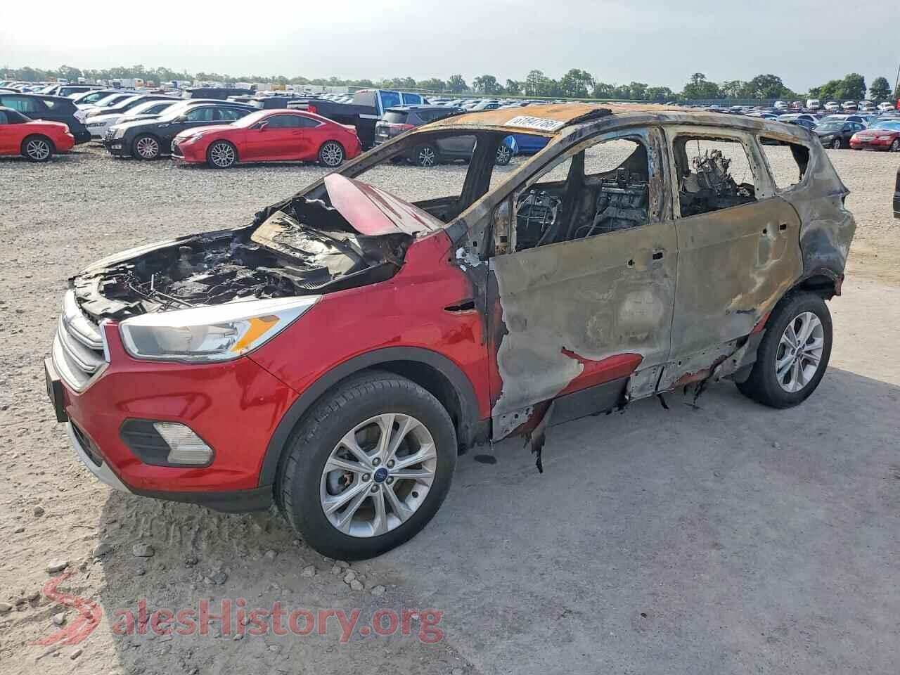 Main Car Image