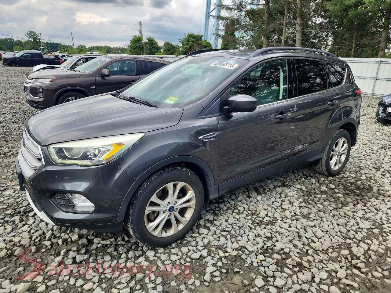 Main Car Image