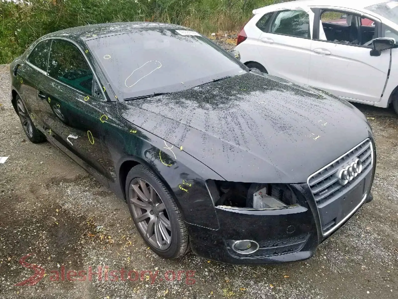 Main Car Image