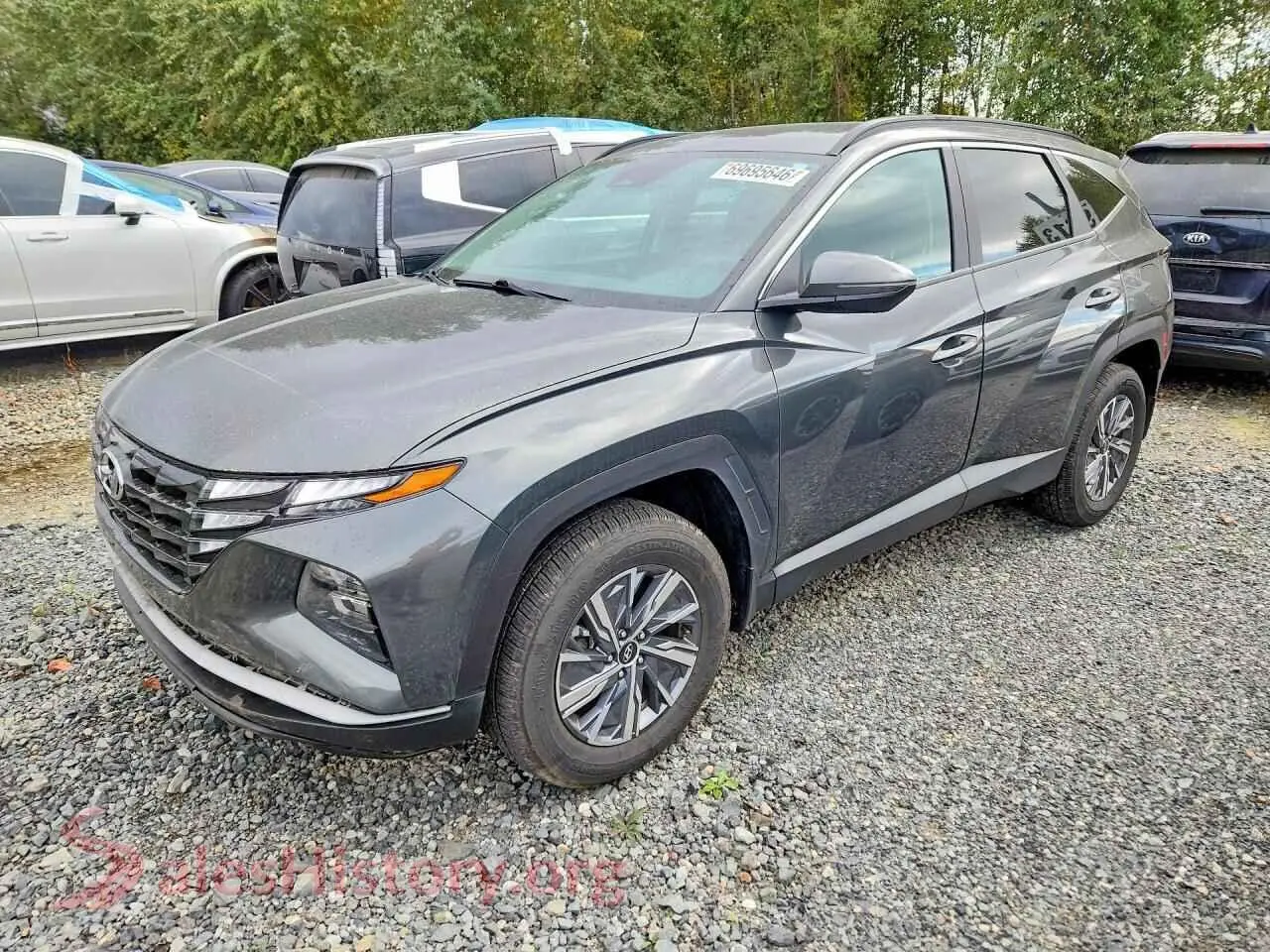 Main Car Image