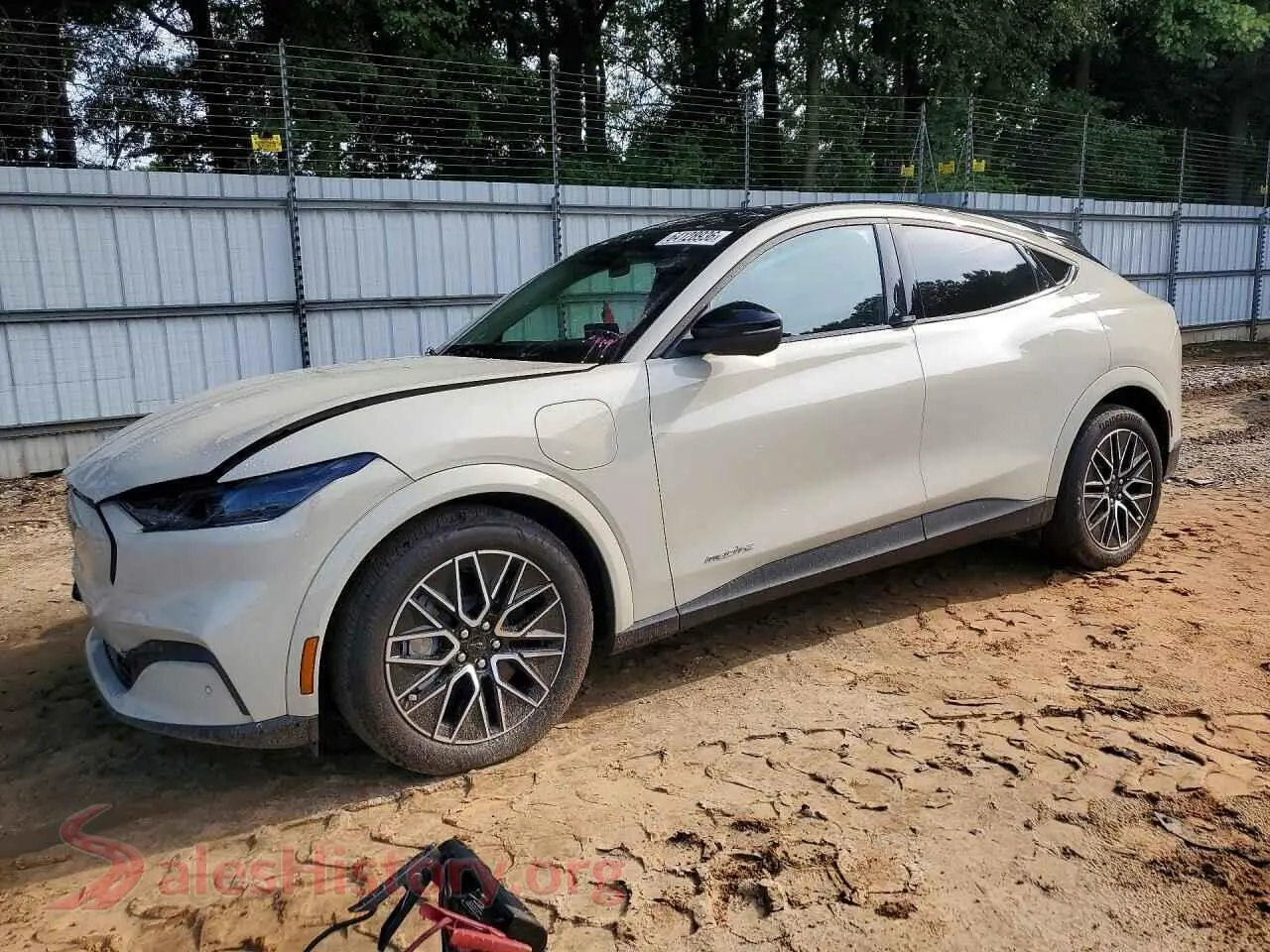 Main Car Image