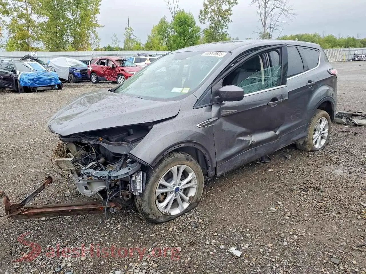 Main Car Image