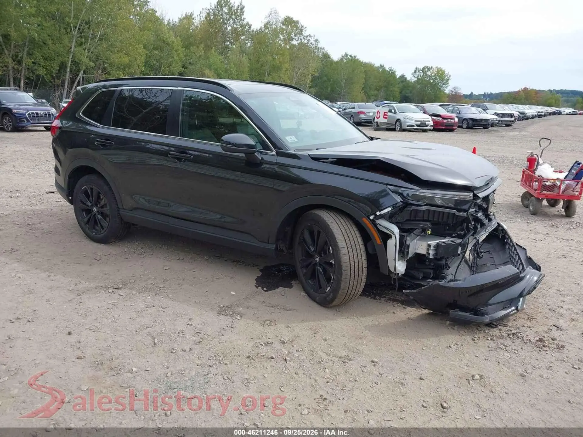 Main Car Image