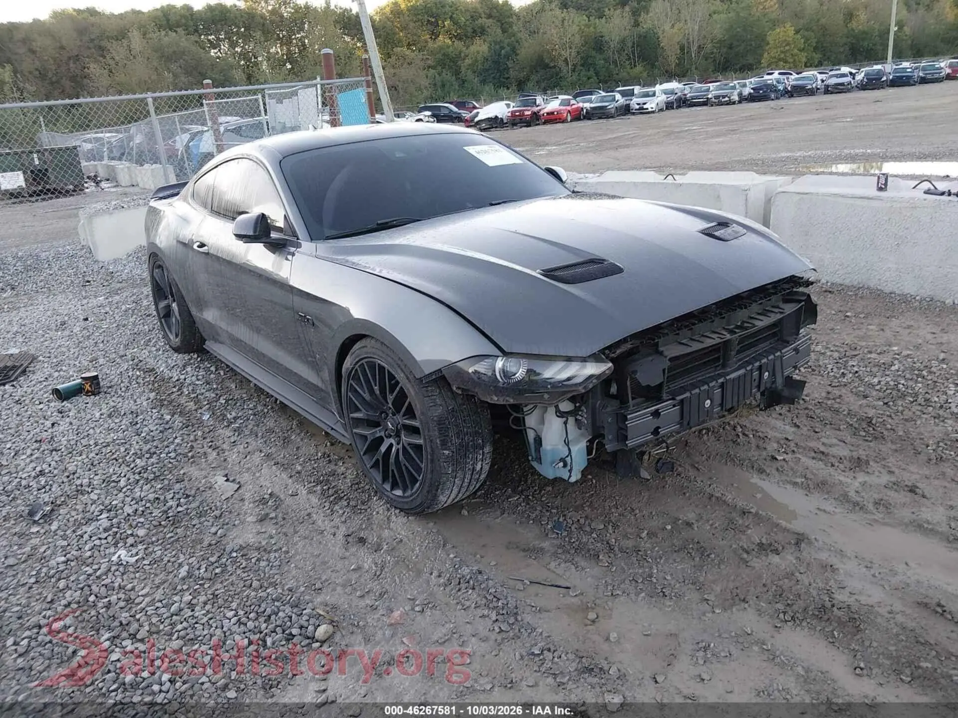Main Car Image