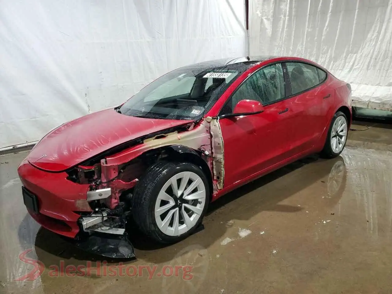 Main Car Image