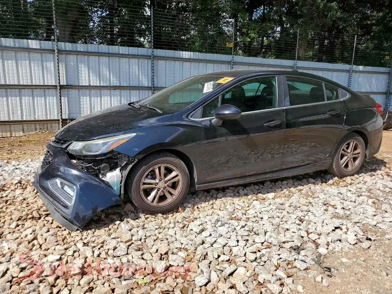 Main Car Image