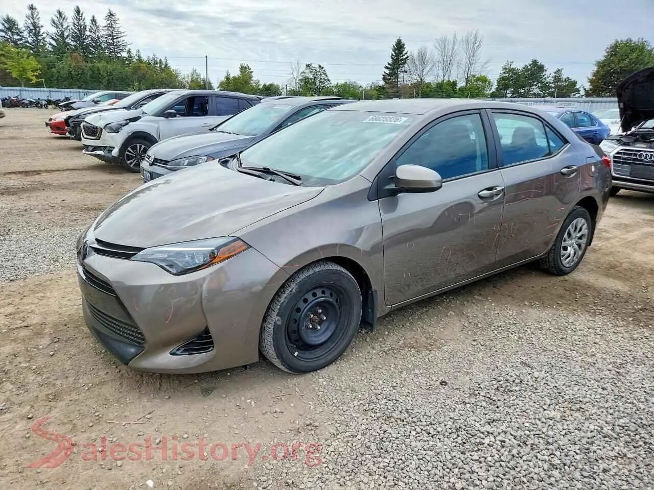 Main Car Image