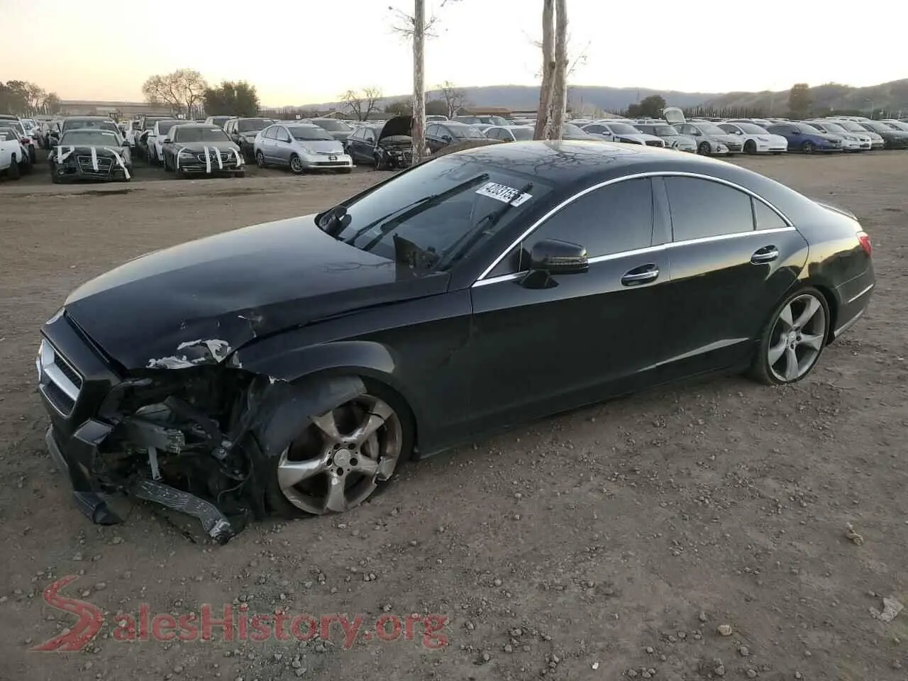 Main Car Image