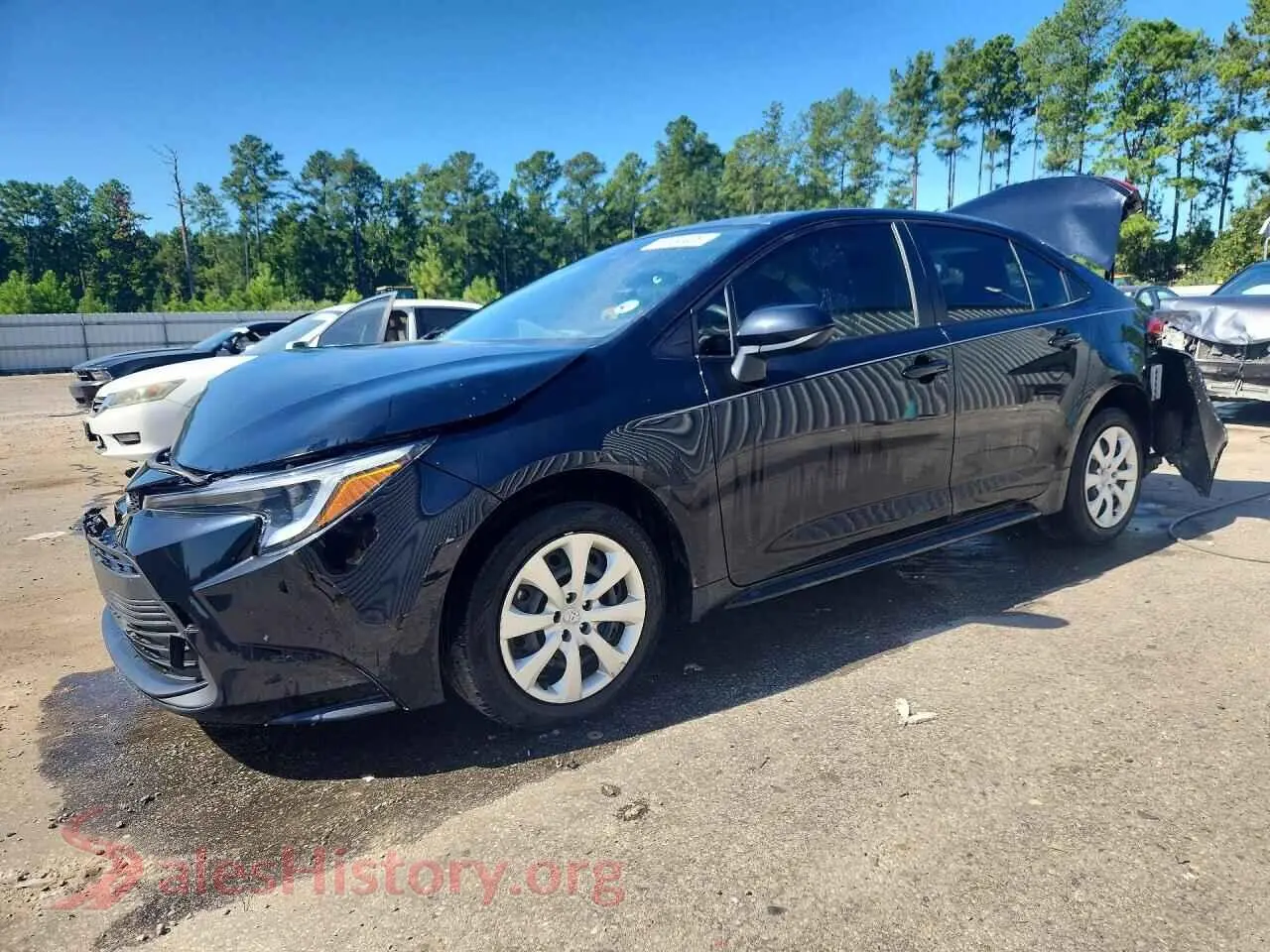 Main Car Image