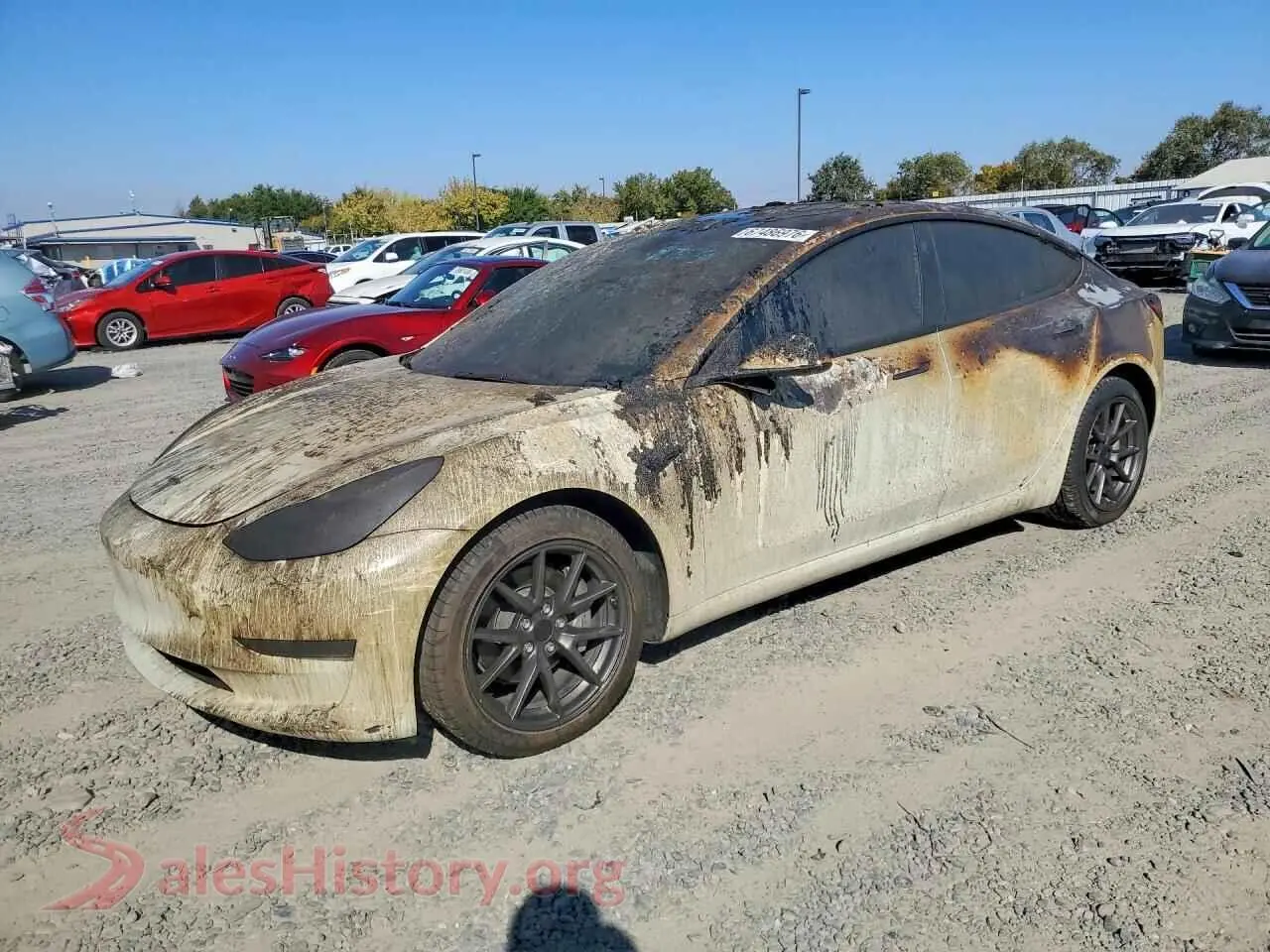 Main Car Image