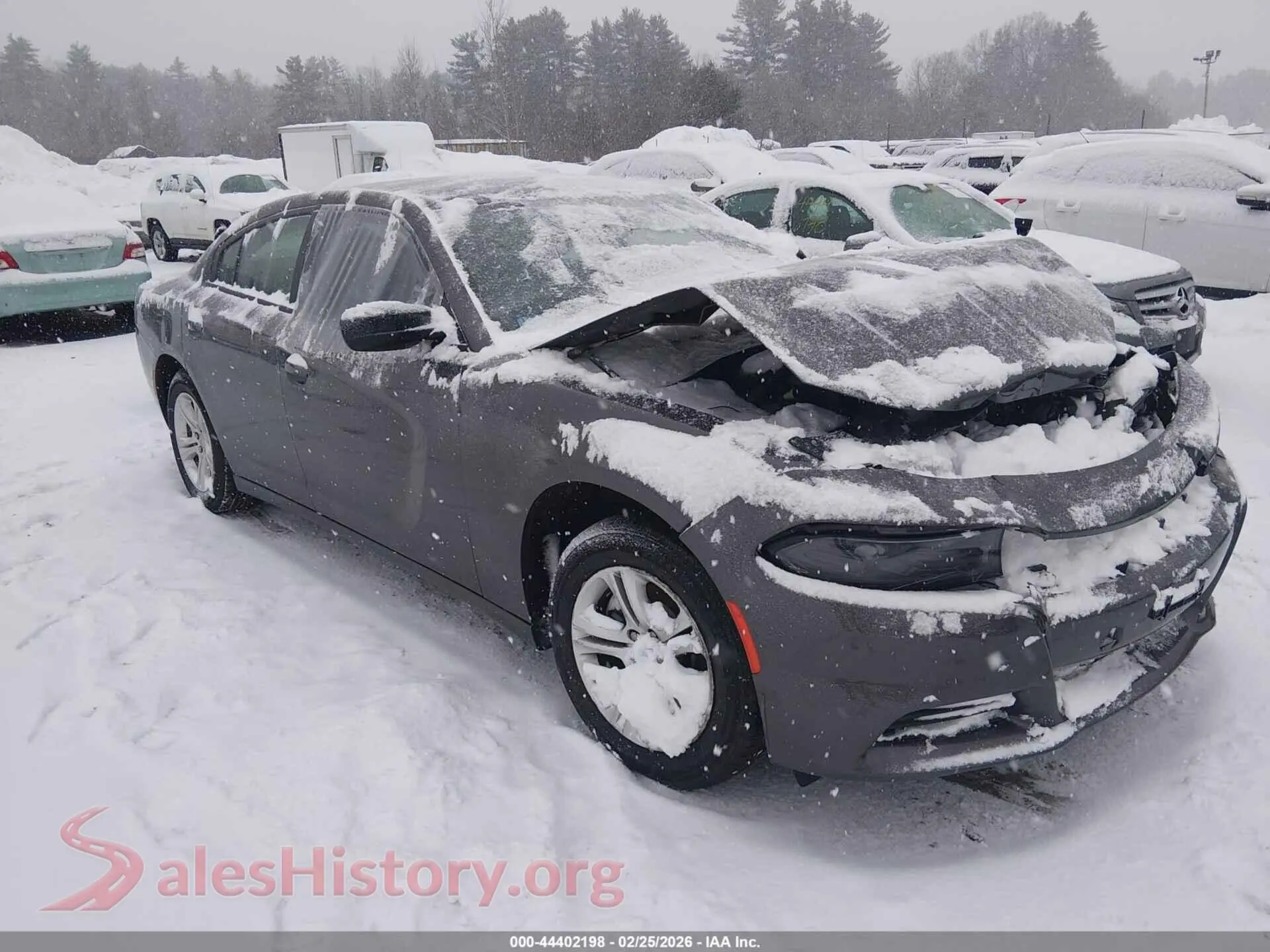 Main Car Image