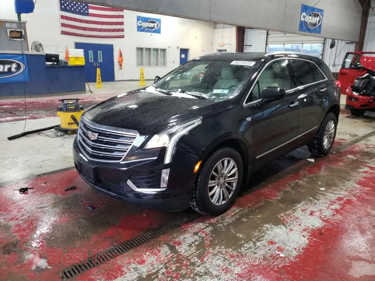 Main Car Image