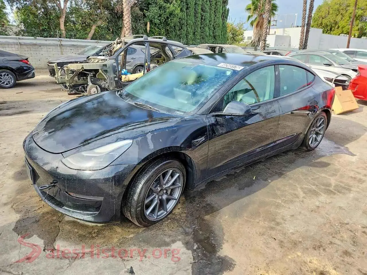 Main Car Image