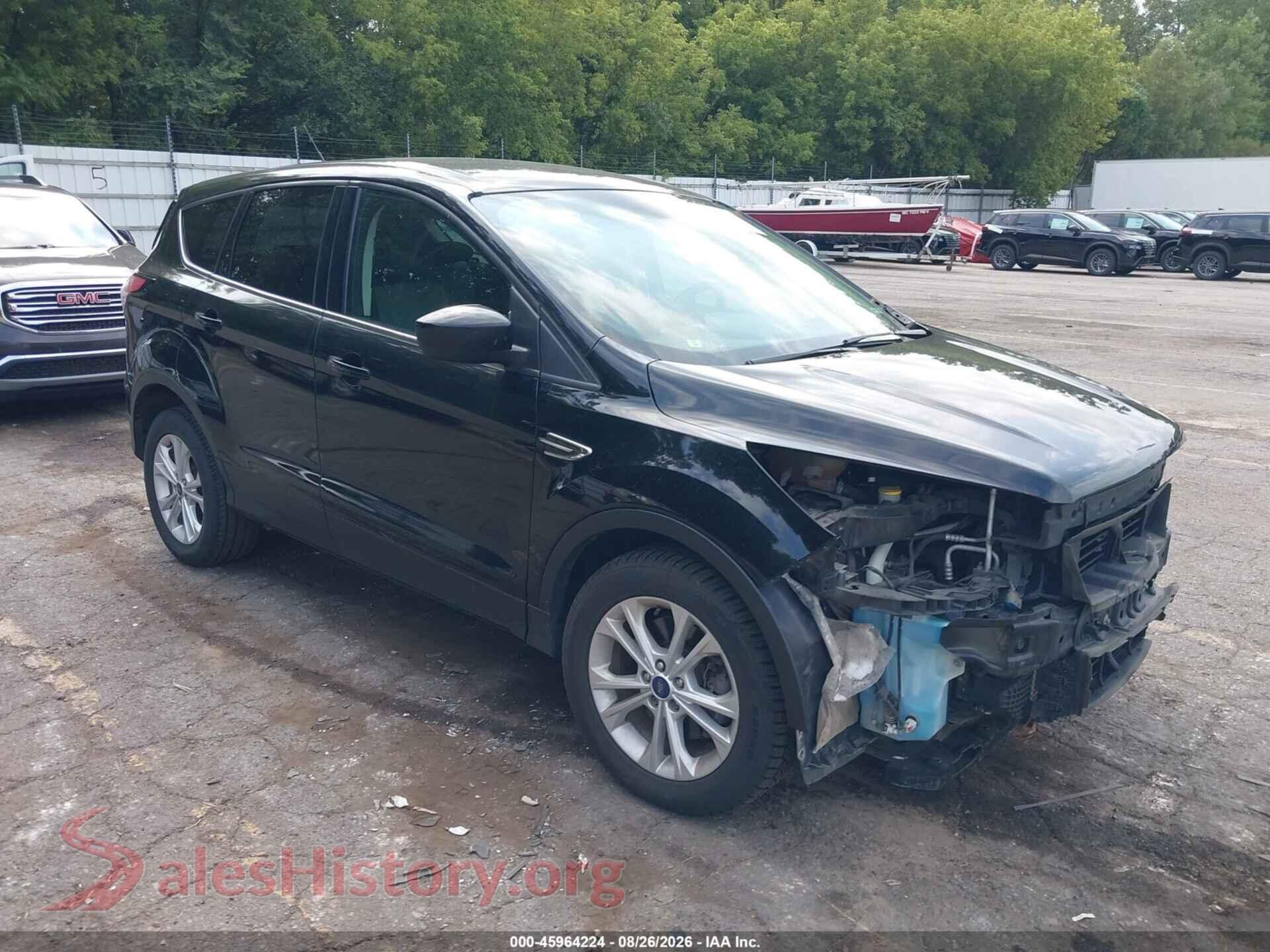 Main Car Image