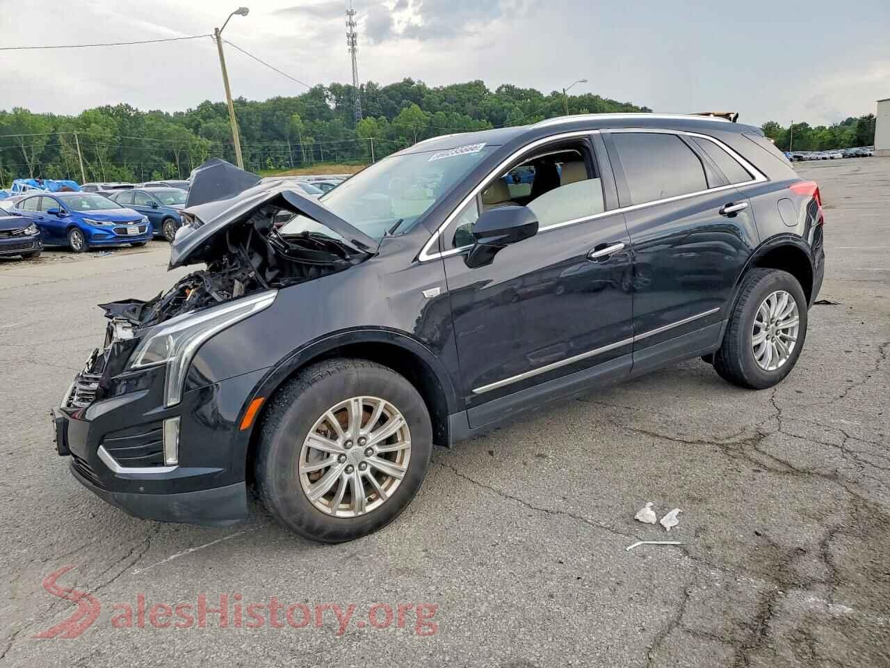 Main Car Image