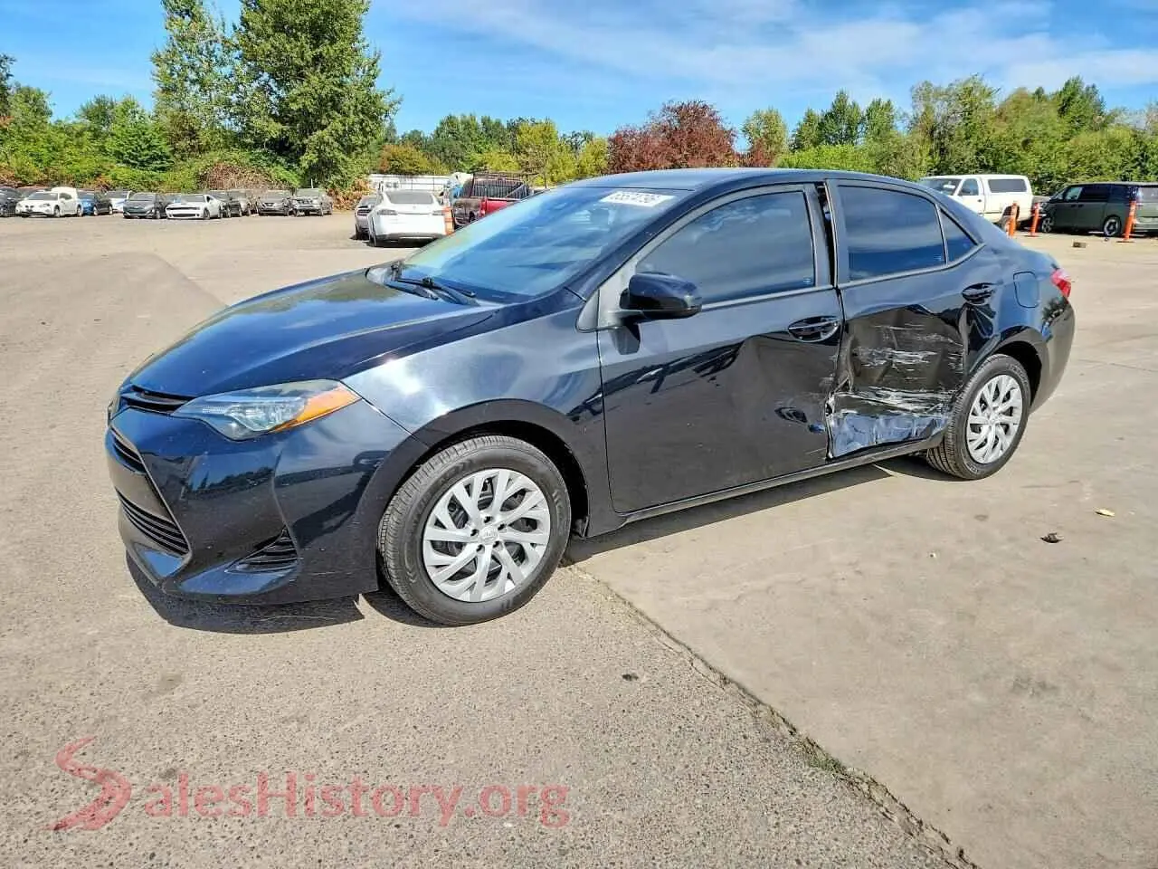Main Car Image