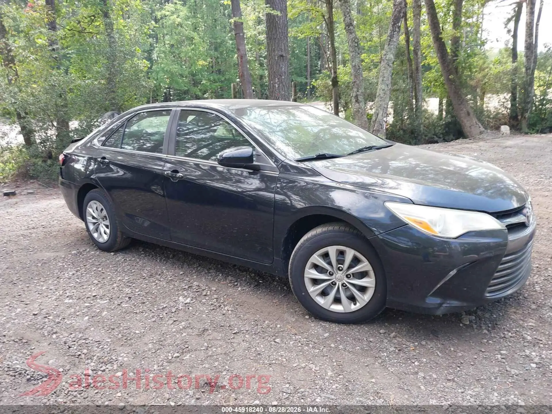 Main Car Image