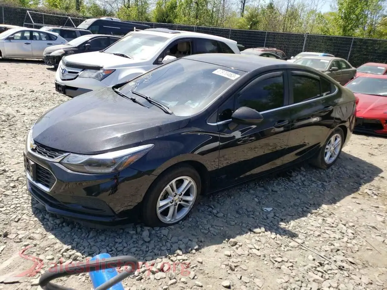 Main Car Image