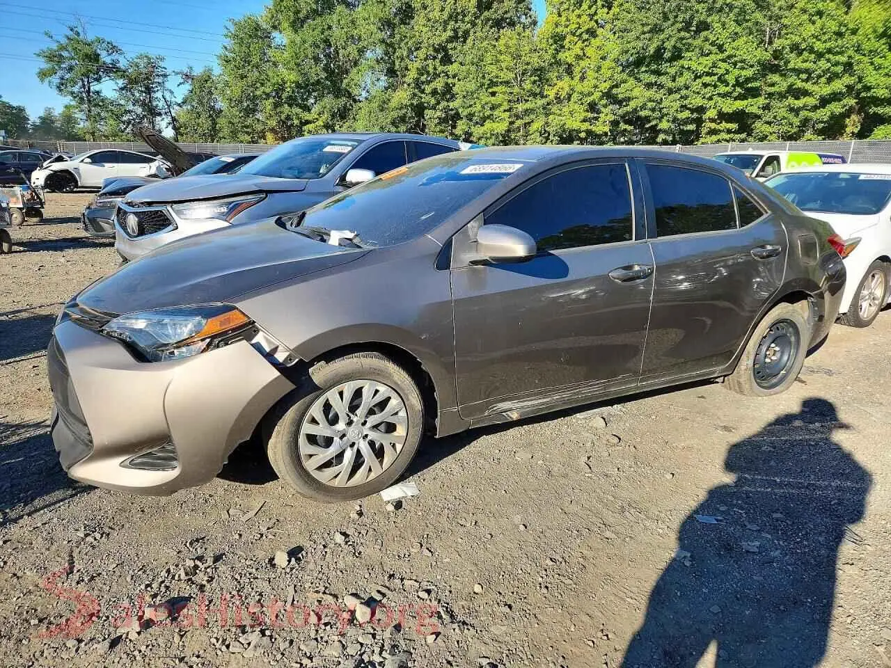 Main Car Image