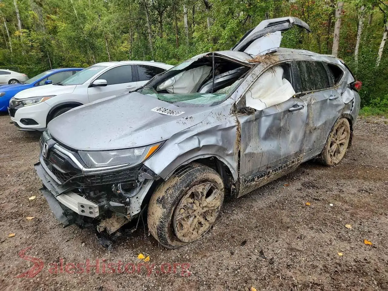 Main Car Image
