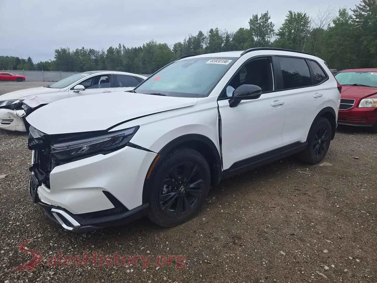 Main Car Image